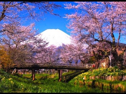 富士山 Mt Fuji In Unesco World Heritage 世界遺産登録の春の富士山と桜 Sakura 忍野村と西湖いやしの里根場 日本の桜 花の名所案内 Tesori D Italia Magazine Tesorimagazine